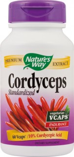 Cordyceps x 60 capsule